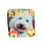 毎日ぽんぽん（個別スタンプ：1）