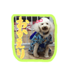 毎日ぽんぽん（個別スタンプ：2）