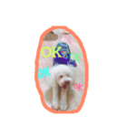 毎日ぽんぽん（個別スタンプ：3）