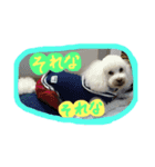 毎日ぽんぽん（個別スタンプ：5）