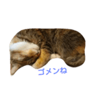 ハロー！カンタビーレ！（個別スタンプ：4）