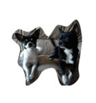chiwawa-GEN＆SORA（個別スタンプ：4）