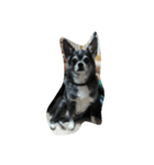 chiwawa-GEN＆SORA（個別スタンプ：11）