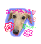 Ramuchan.（個別スタンプ：7）