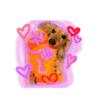 Ramuchan.（個別スタンプ：12）