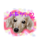 Ramuchan.（個別スタンプ：13）