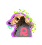 Ramuchan.（個別スタンプ：19）
