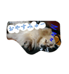 つきみの日常（個別スタンプ：2）