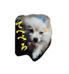 つきみの日常（個別スタンプ：9）