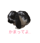 mochilife（個別スタンプ：3）