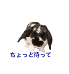 mochilife（個別スタンプ：4）