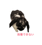 mochilife（個別スタンプ：6）