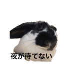 mochilife（個別スタンプ：7）