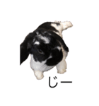 mochilife（個別スタンプ：8）