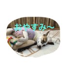 ジャック ニコル（個別スタンプ：6）