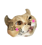 lazy lazy cat！（個別スタンプ：1）