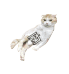 lazy lazy cat！（個別スタンプ：4）