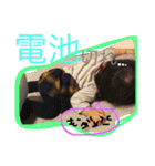 陽さん三昧2（個別スタンプ：19）