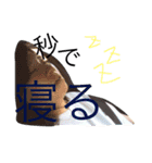 まえしょーはぴば！実咲ちゃんスタンプやで（個別スタンプ：4）