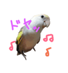 watasinotakaramono（個別スタンプ：6）