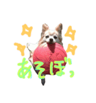 watasinotakaramono（個別スタンプ：7）