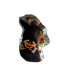 愛犬いちご（個別スタンプ：7）