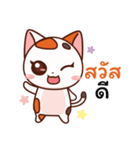 Jinnie Cat（個別スタンプ：1）