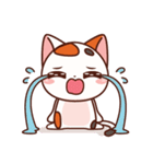 Jinnie Cat（個別スタンプ：24）