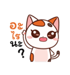 Jinnie Cat（個別スタンプ：27）