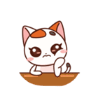 Jinnie Cat（個別スタンプ：35）