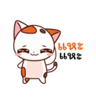 Jinnie Cat（個別スタンプ：40）