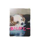 7時だよ！リオ集合～っ！（個別スタンプ：3）