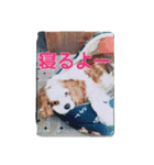 7時だよ！リオ集合～っ！（個別スタンプ：4）