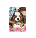 7時だよ！リオ集合～っ！（個別スタンプ：7）
