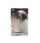 7時だよ！リオ集合～っ！（個別スタンプ：11）