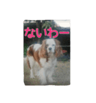 7時だよ！リオ集合～っ！（個別スタンプ：13）