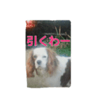 7時だよ！リオ集合～っ！（個別スタンプ：14）