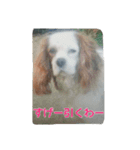 7時だよ！リオ集合～っ！（個別スタンプ：16）