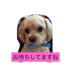嬉しいマロン（個別スタンプ：5）