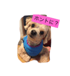 嬉しいマロン（個別スタンプ：10）