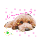 杉田小太郎くん（個別スタンプ：1）
