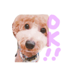杉田小太郎くん（個別スタンプ：8）