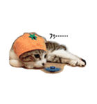 いぬねこいっぱい（個別スタンプ：2）