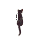 いぬねこいっぱい（個別スタンプ：3）