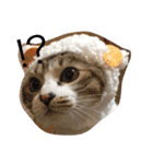 いぬねこいっぱい（個別スタンプ：4）