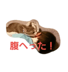 kurubusi2（個別スタンプ：1）