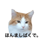 かんたスタンプ2nd（個別スタンプ：7）