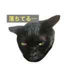 猫で楽々、可愛い返事（個別スタンプ：4）
