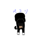 黒柴こてつさん（個別スタンプ：3）