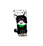 黒柴こてつさん（個別スタンプ：4）